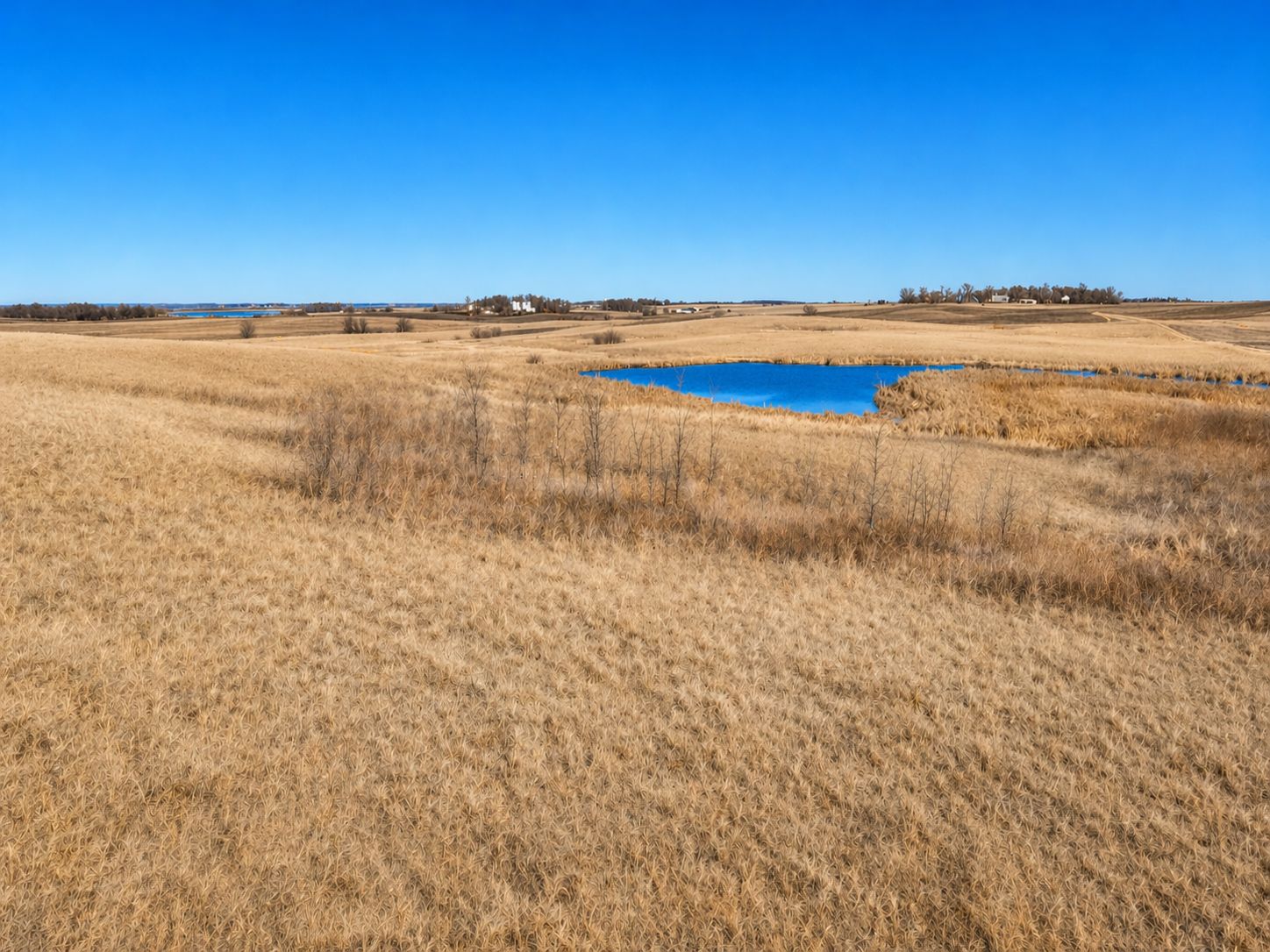 Listing Photo: Lake Park 4